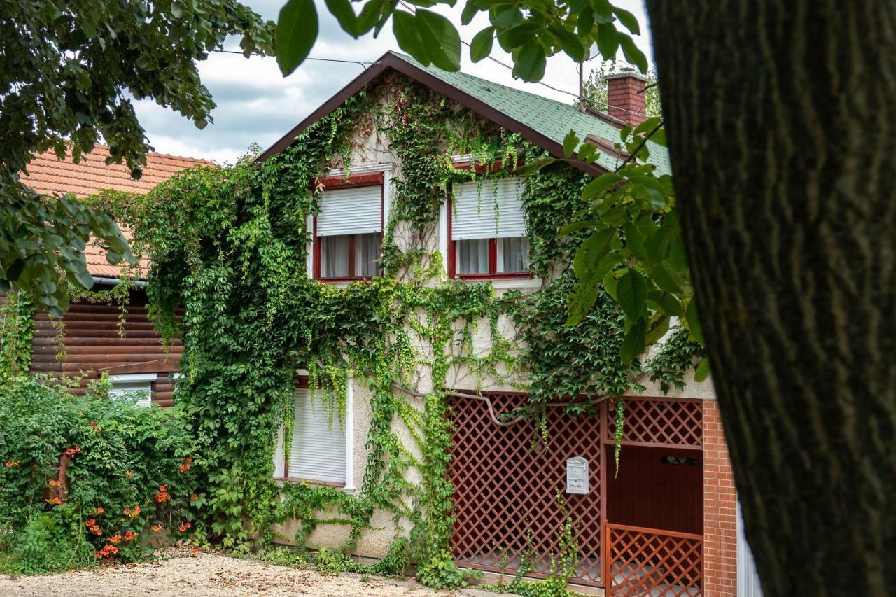 Vadszolo Apartmanhaz Gyomaendrőd Exterior foto